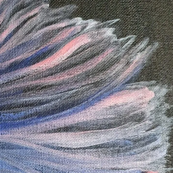 Fightjng Fish 3 — closeup 3