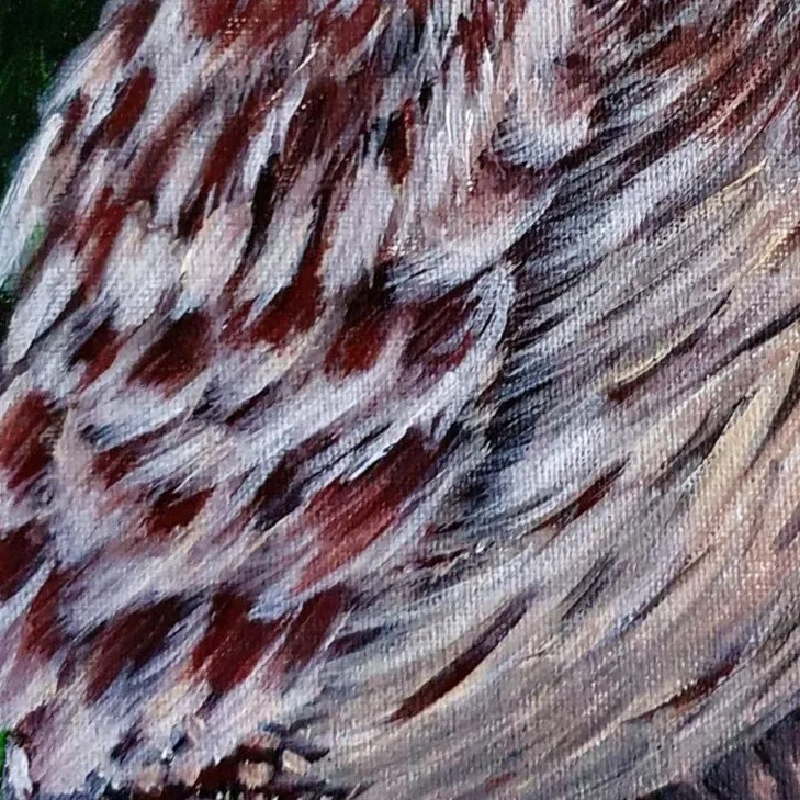 New Acrylic Painting - Owl — closeup 2