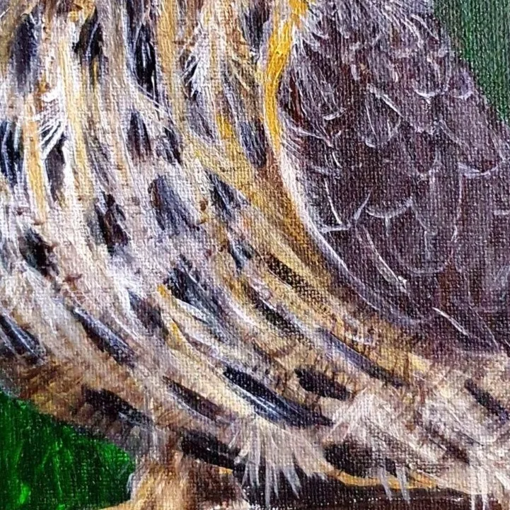 Original Acrylic Painting - Owl 2 — closeup 2