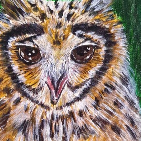 New Original Painting - Owl 3 — closeup 1