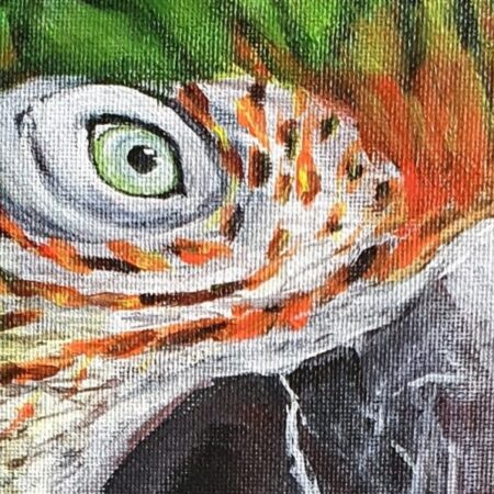 Original Acrylic Painting - Macaw — closeup 1