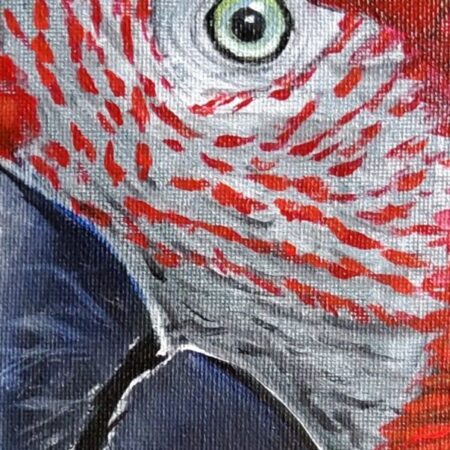 Original Acrylic Painting - Macaw II — closeup 1