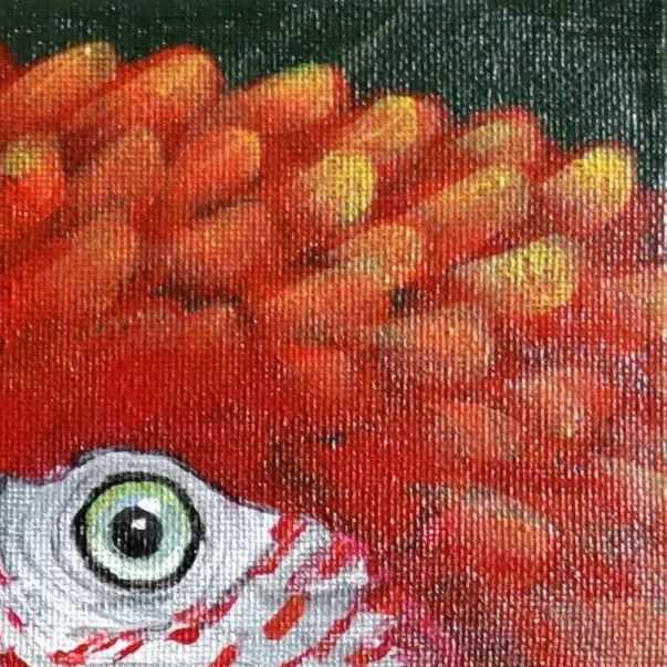 Original Acrylic Painting - Macaw II — closeup 3