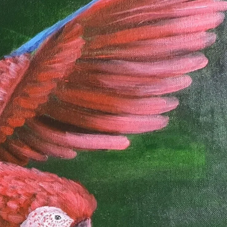 Original Acrylic Painting - Macaw takes Flight — closeup 3