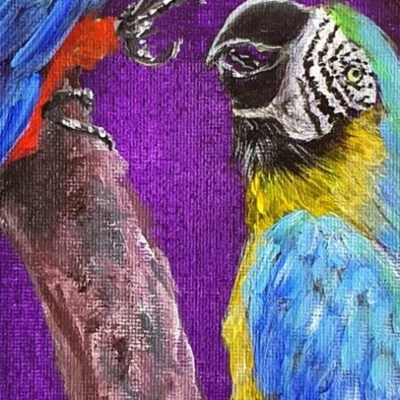 Original Acrylic Painting - Macaws in Conversation — closeup 1