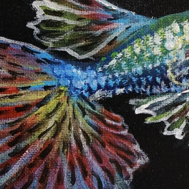 Colourful Guppies 1 — closeup 2
