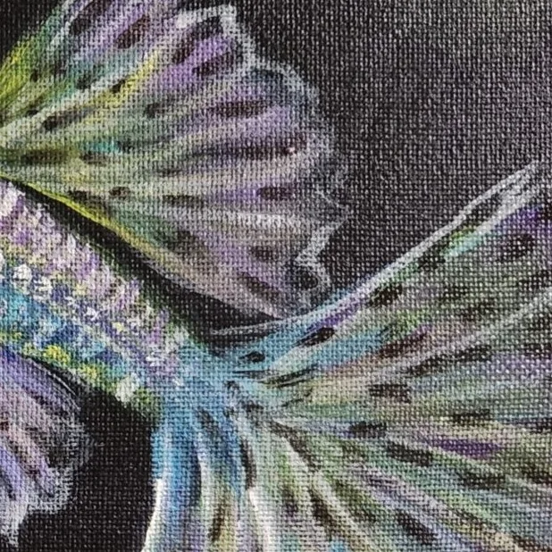 Colourful Guppies 1 — closeup 3
