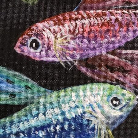 Colourful Guppies 2 — closeup 1