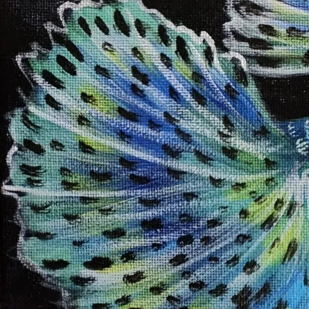 Colourful Guppies 2 — closeup 2