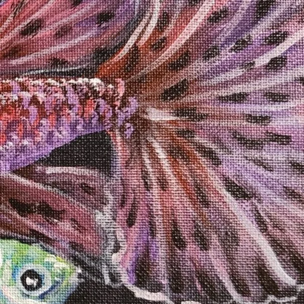 Colourful Guppies 2 — closeup 3