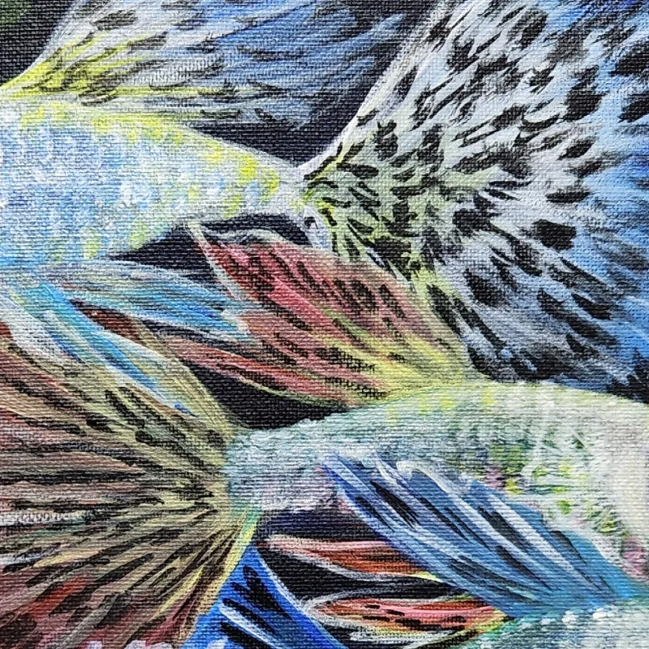 Guppies 6 — closeup 1