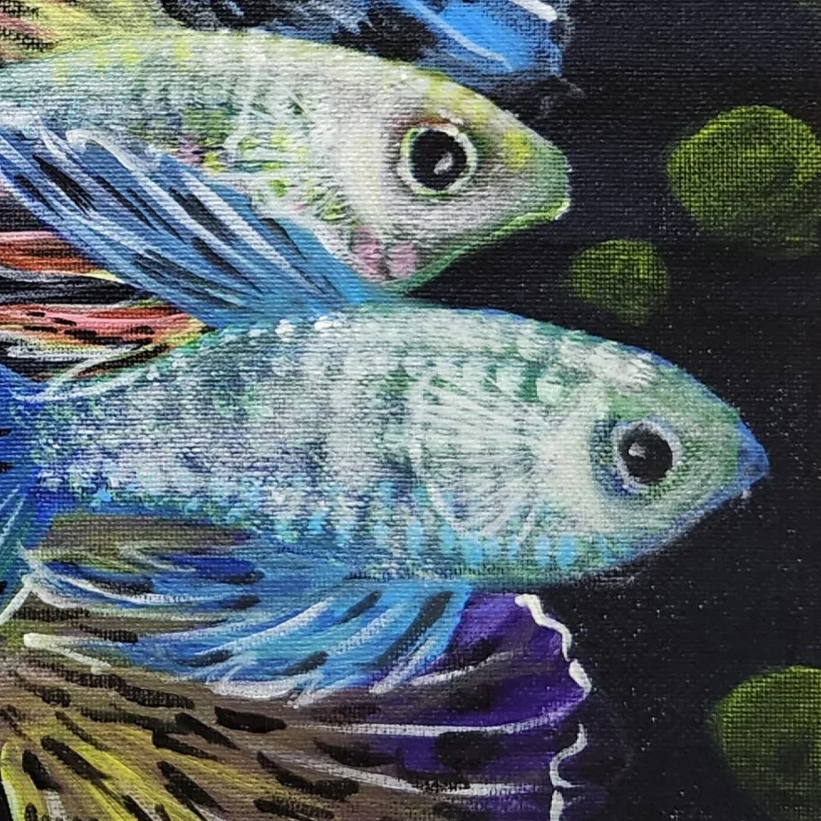 Guppies 6 — closeup 3