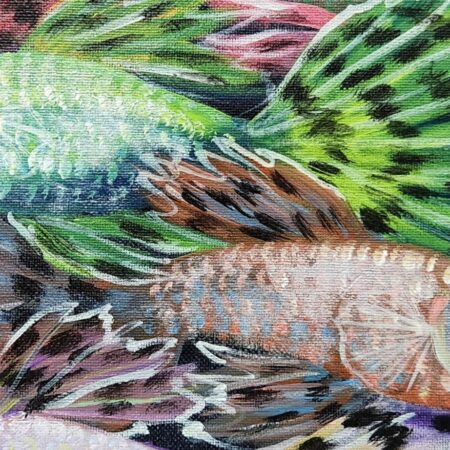 Guppies 5 — closeup 1