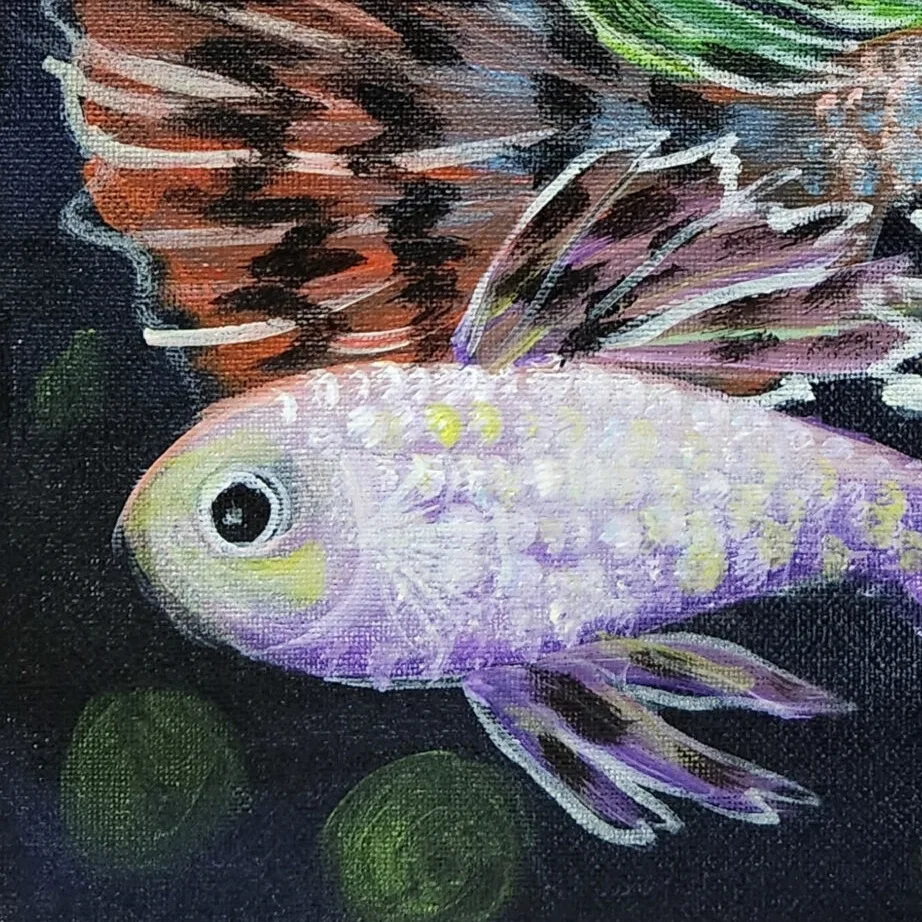Guppies 5 — closeup 2