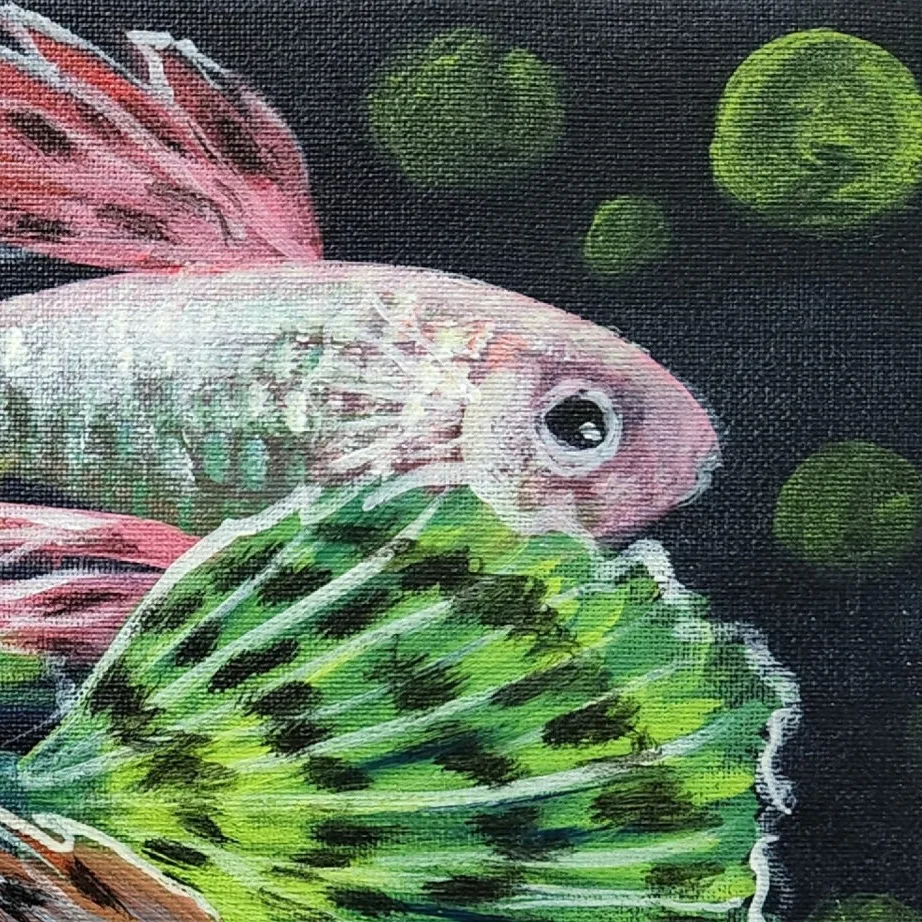 Guppies 5 — closeup 3