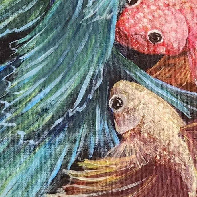 Betta 4 — closeup 1