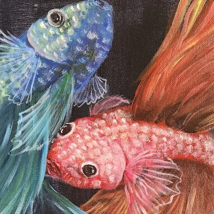 Betta 4 — closeup 2