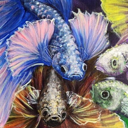 Betta 5 — closeup 1