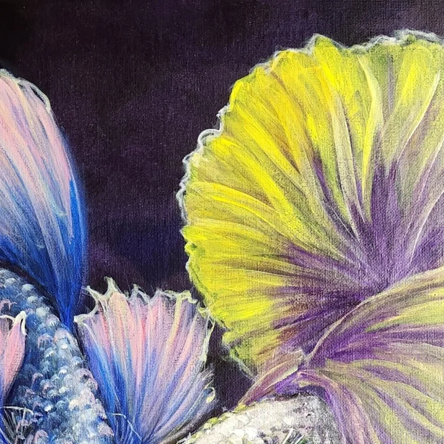 Betta 5 — closeup 2