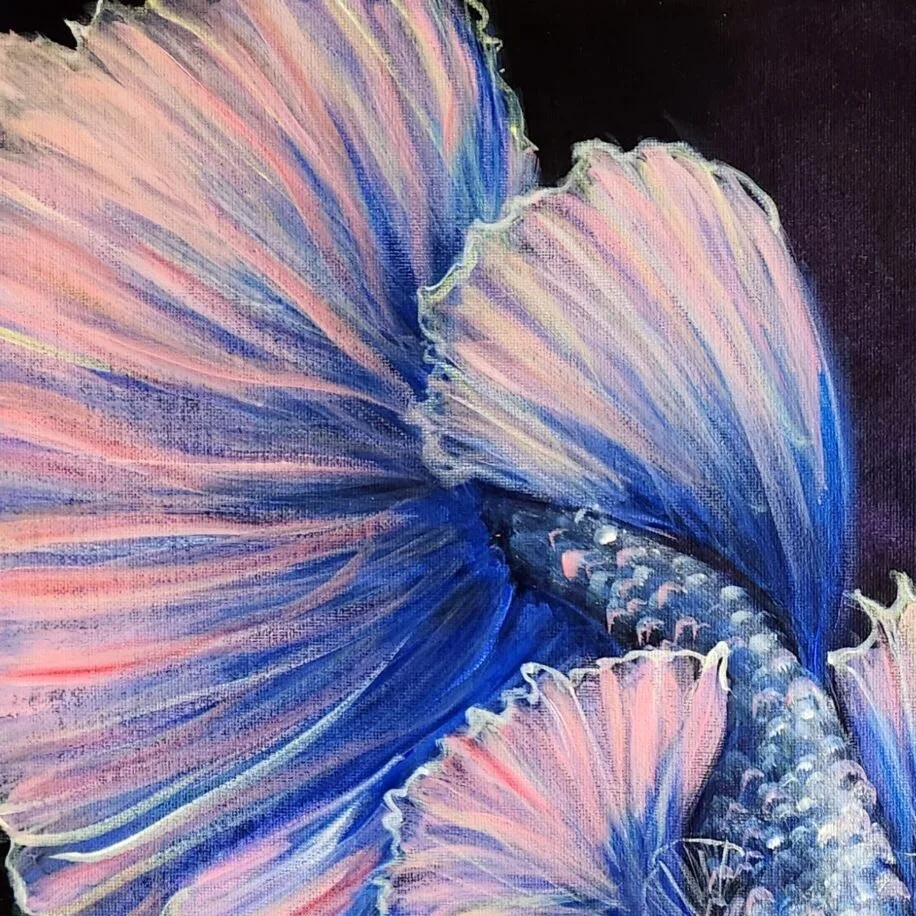 Betta 5 — closeup 3