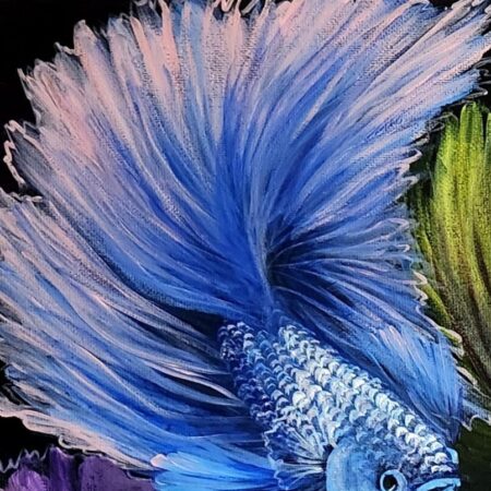 Betta Fishes 6 — closeup 1