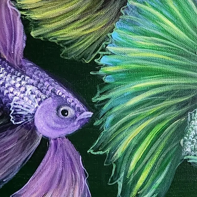 Betta Fishes 6 — closeup 3