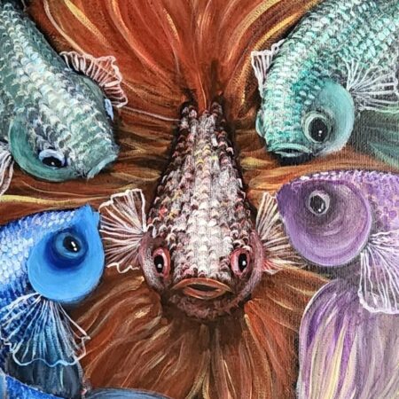 Betta Fishes 7 — closeup 1
