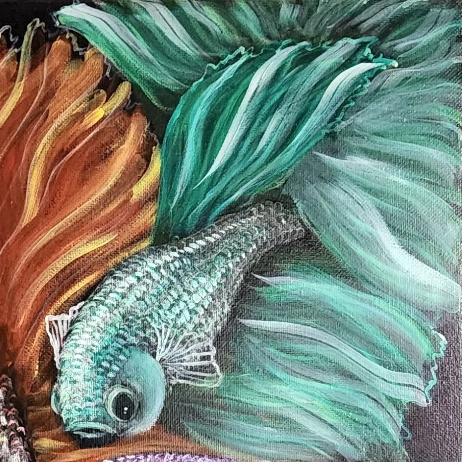Betta Fishes 7 — closeup 2