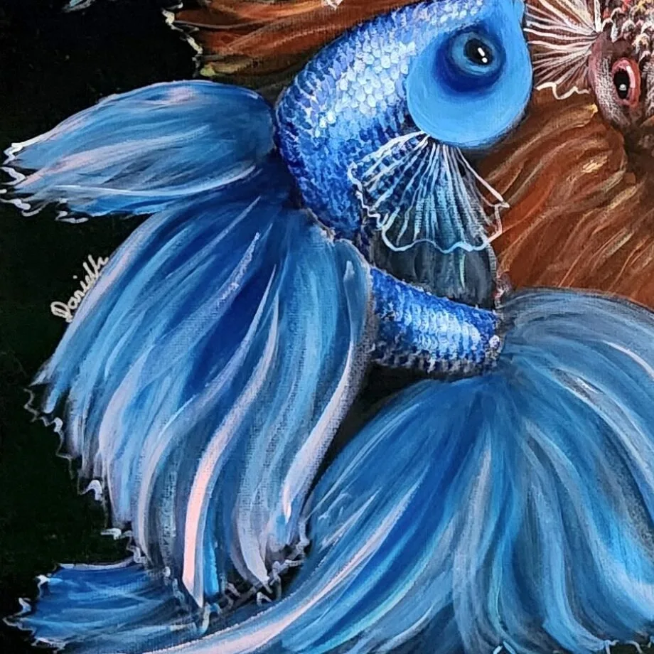 Betta Fishes 7 — closeup 3