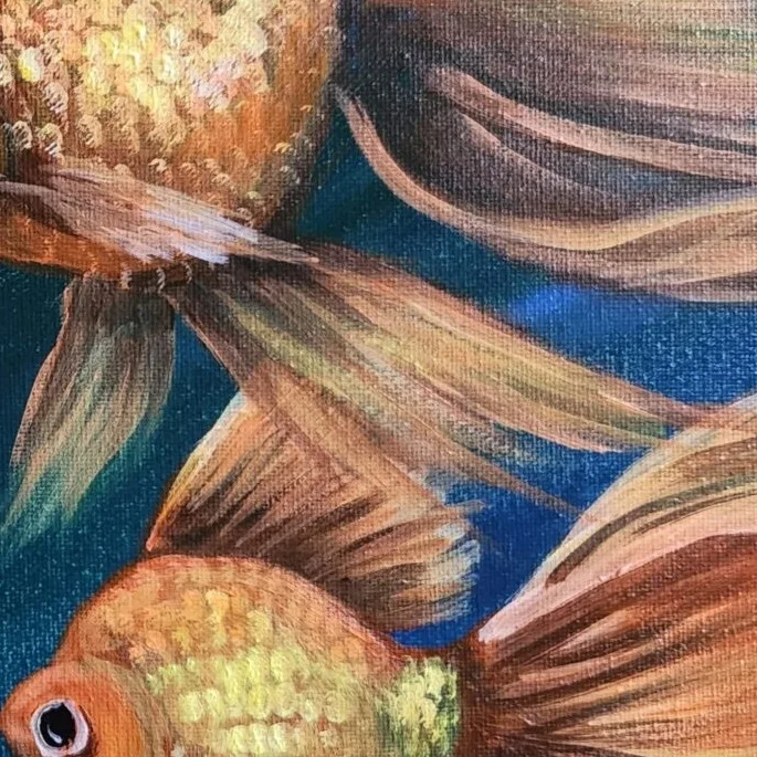 Dance of the Goldfish — closeup 1