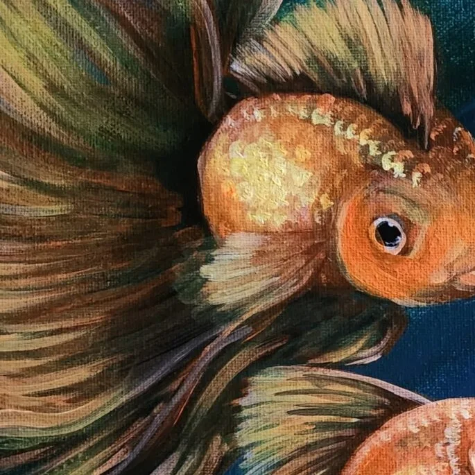 Dance of the Goldfish — closeup 3