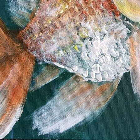 Goldfish Trio 1 — closeup 1