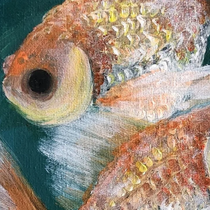 Goldfish Trio 1 — closeup 2