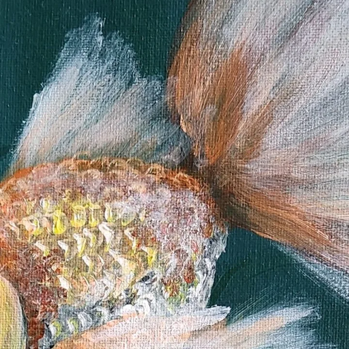 Goldfish Trio 1 — closeup 3