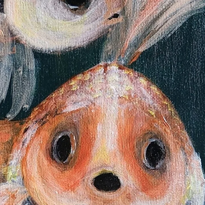 Goldfish Trio 2 — closeup 2
