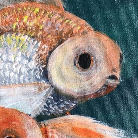 Goldfish Trio 3 — closeup 1
