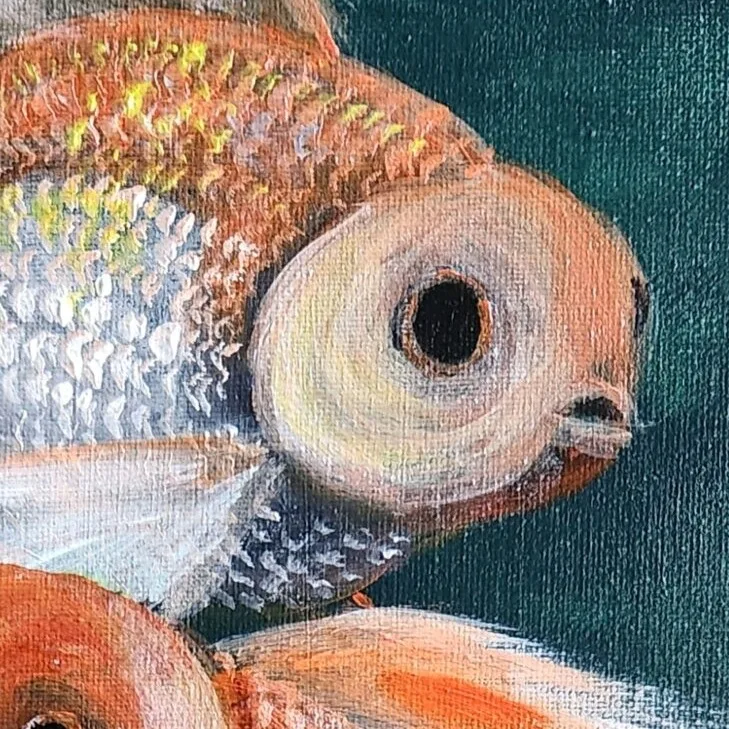 Goldfish Trio 3 — closeup 1