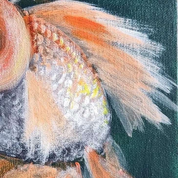 Goldfish Trio 3 — closeup 2
