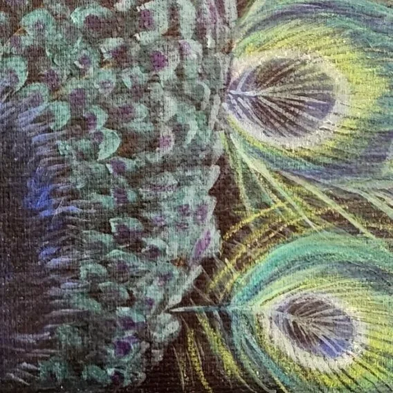 Birds of Paradise 4 - Peacock — closeup 2