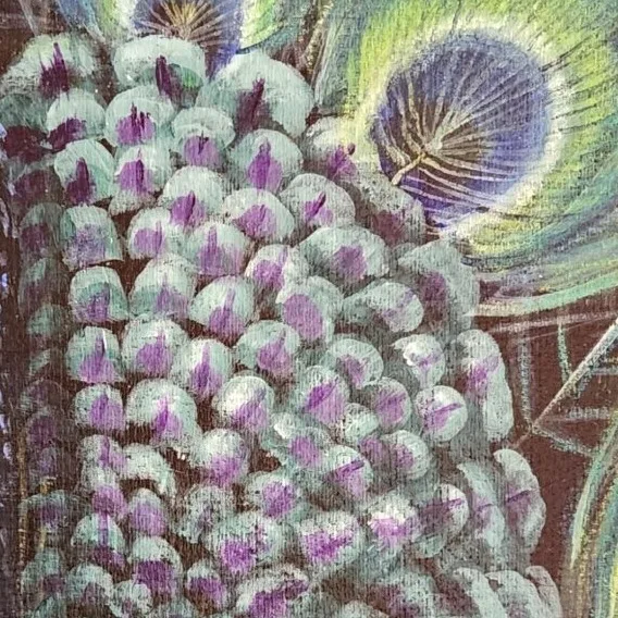 Birds of Paradise 4 - Peacock — closeup 3