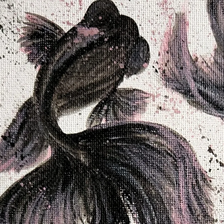 Black Goldfishes — closeup 2