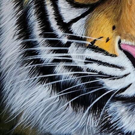 Eye of a Tiger — closeup 1