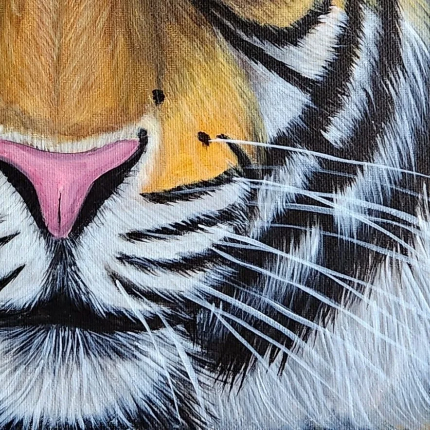 Eye of a Tiger — closeup 2