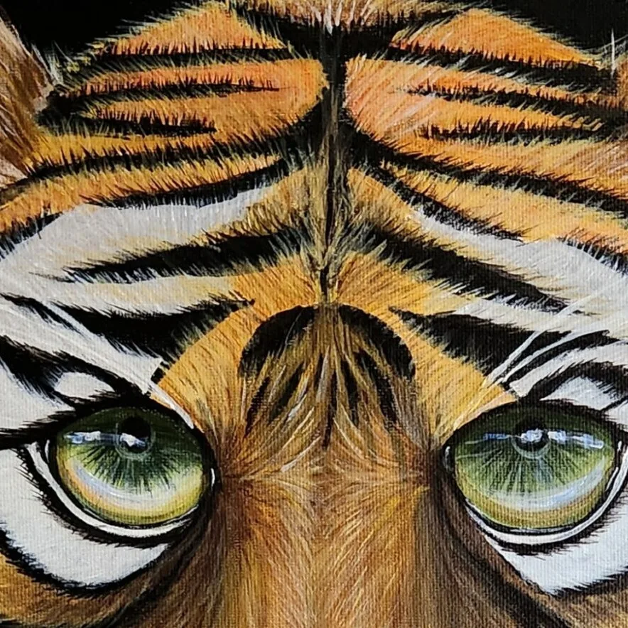 Eye of a Tiger — closeup 3