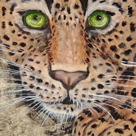 Resting Jaguar — closeup 1
