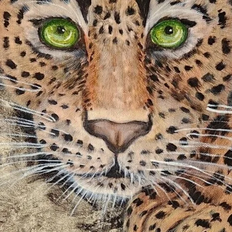 Resting Jaguar — closeup 1