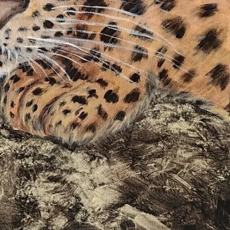 Resting Jaguar — closeup 2