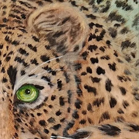 Resting Jaguar — closeup 3