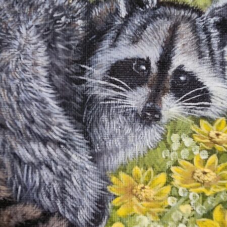 A Raccoon's Daydream — closeup 1