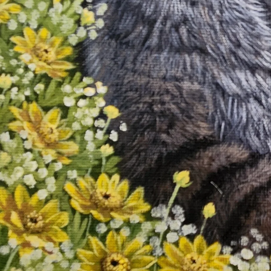 A Raccoon's Daydream — closeup 2